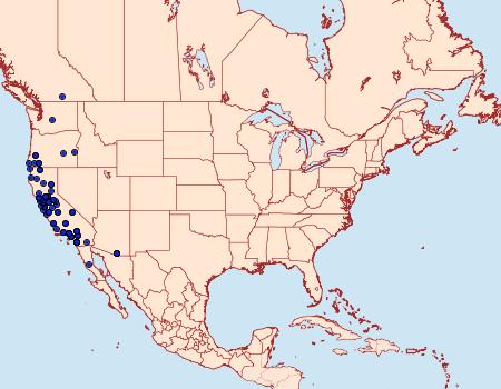 Distribution Data for Tetanolita palligera