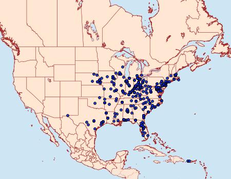 Distribution Data for Tetanolita floridana