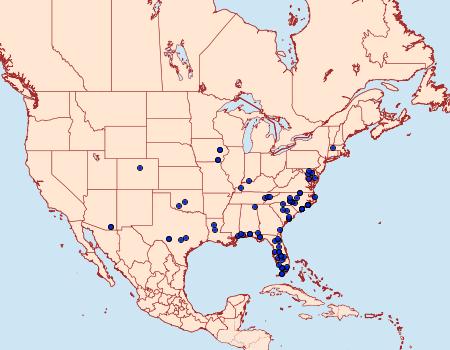 Distribution Data for Bleptina inferior