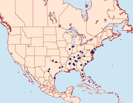 Distribution Data for Bleptina sangamonia