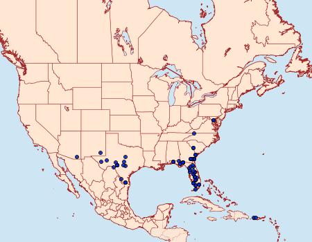 Distribution Data for Hypenula cacuminalis