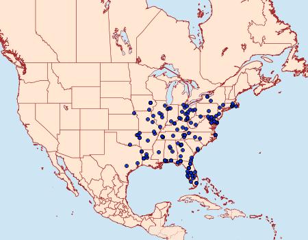 Distribution Data for Renia salusalis