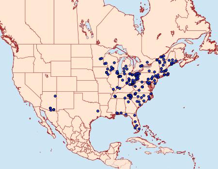 Distribution Data for Renia factiosalis