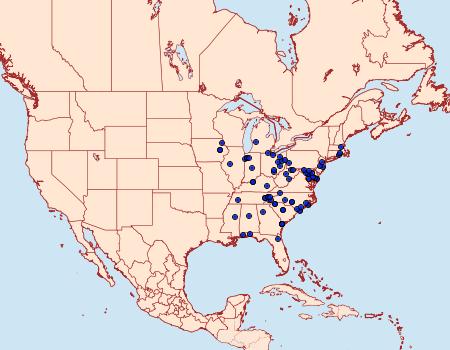 Distribution Data for Renia nemoralis