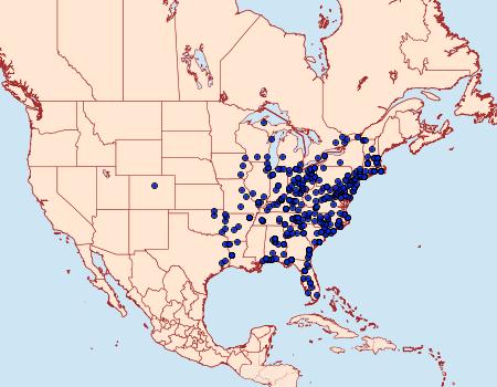 Distribution Data for Renia discoloralis