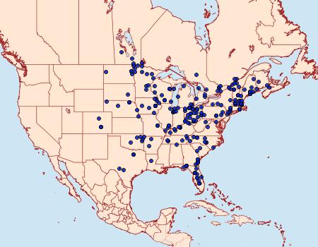 Distribution Data for Renia flavipunctalis