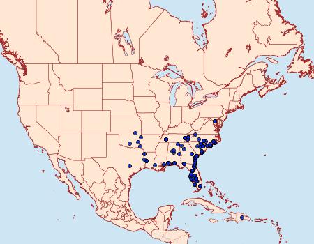 Distribution Data for Renia fraternalis