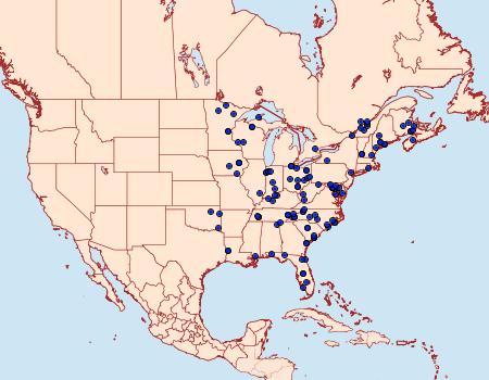 Distribution Data for Renia sobrialis