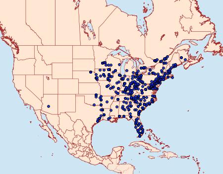 Distribution Data for Lascoria ambigualis