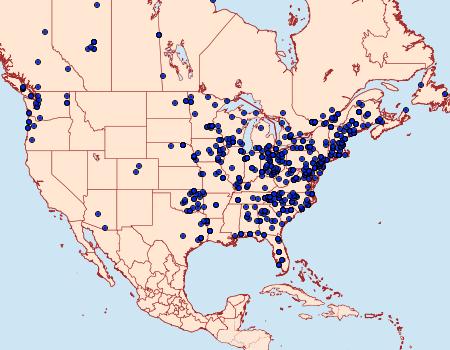 Distribution Data for Palthis angulalis