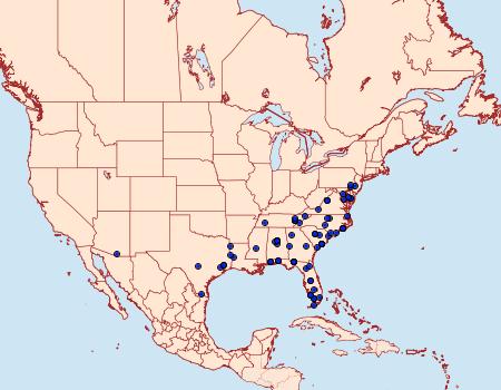 Distribution Data for Redectis pygmaea