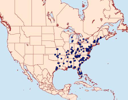 Distribution Data for Redectis vitrea