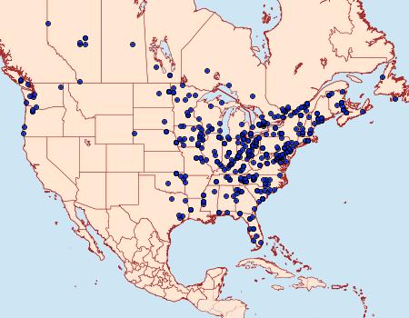 Distribution Data for Rivula propinqualis