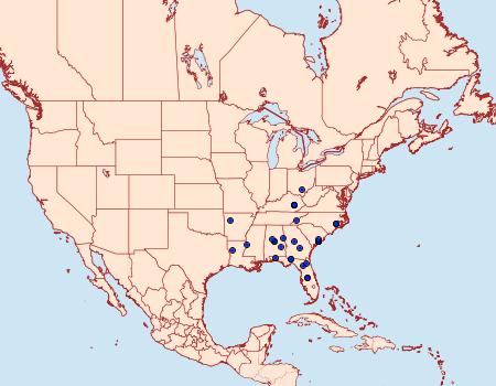 Distribution Data for Oxycilla mitographa