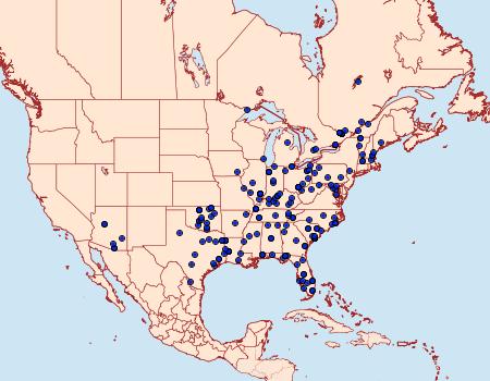 Distribution Data for Colobochyla interpuncta