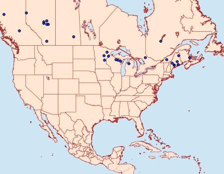 Distribution Data for Mycterophora inexplicata