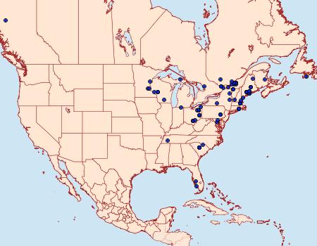 Distribution Data for Hypenodes caducus