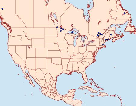 Distribution Data for Hypenodes sombrus