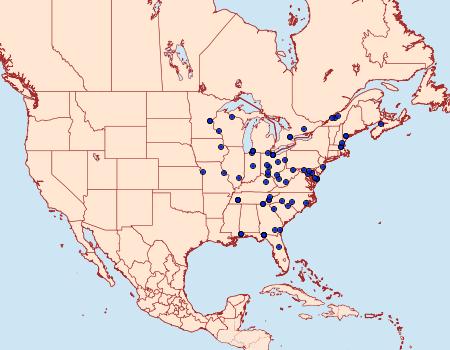 Distribution Data for Dyspyralis nigellus