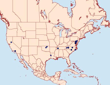 Distribution Data for Porphyrosela minuta