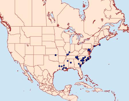 Distribution Data for Hypenopsis calusa