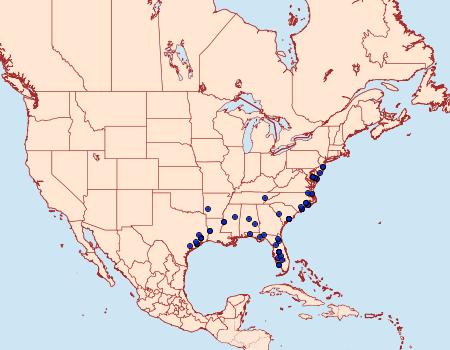 Distribution Data for Abablemma brimleyana