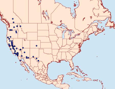 Distribution Data for Phobolosia anfracta