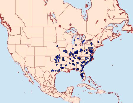 Distribution Data for Nigetia formosalis