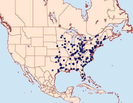 Distribution Data for Hypena manalis