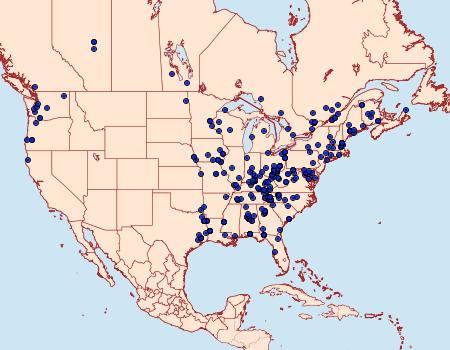 Distribution Data for Hypena palparia