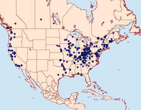 Distribution Data for Hypena abalienalis