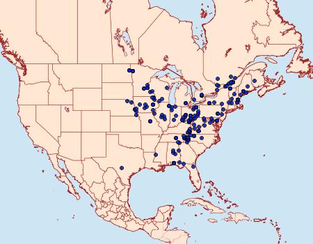 Distribution Data for Hypena deceptalis