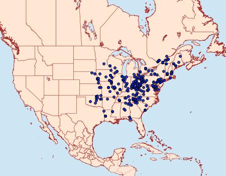 Distribution Data for Hypena madefactalis