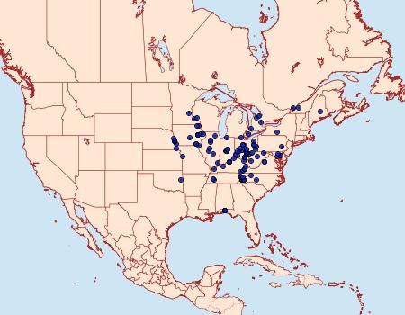 Distribution Data for Hypena sordidula