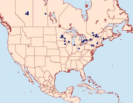 Distribution Data for Hypena atomaria