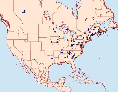 Distribution Data for Hypena eductalis