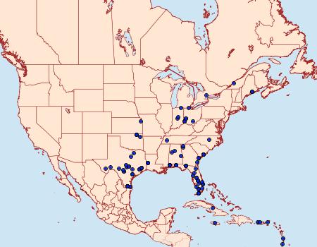 Distribution Data for Hypena minualis