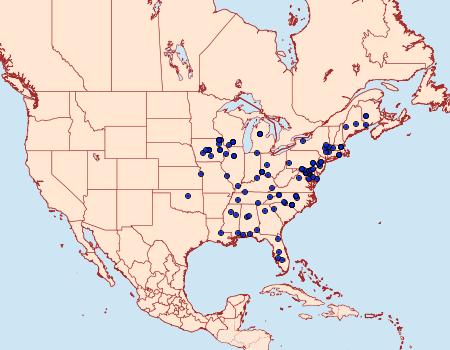 Distribution Data for Phyllocnistis insignis