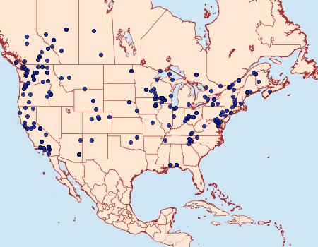 Distribution Data for Hypena humuli