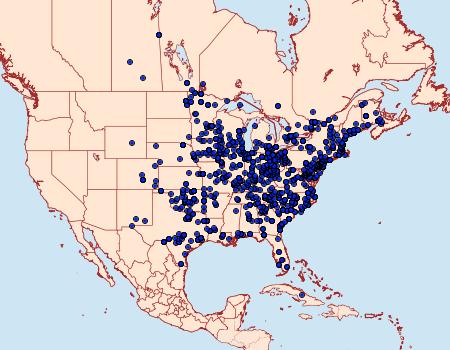 Distribution Data for Hypena scabra