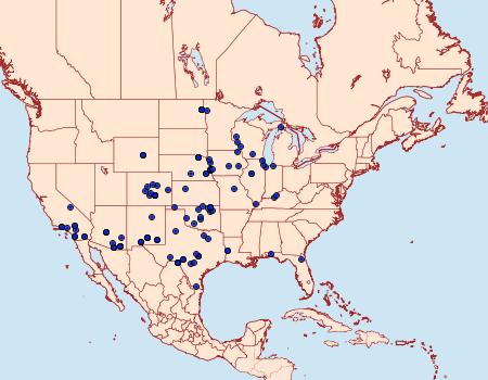 Distribution Data for Tathorhynchus exsiccata