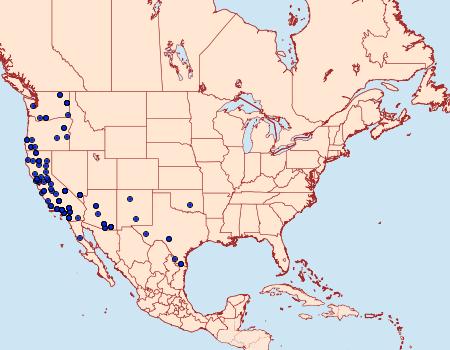 Distribution Data for Hemeroplanis historialis