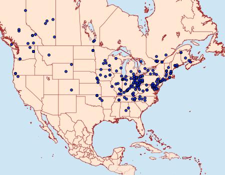 Distribution Data for Spargaloma sexpunctata