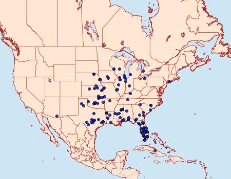 Distribution Data for Phytometra ernestinana