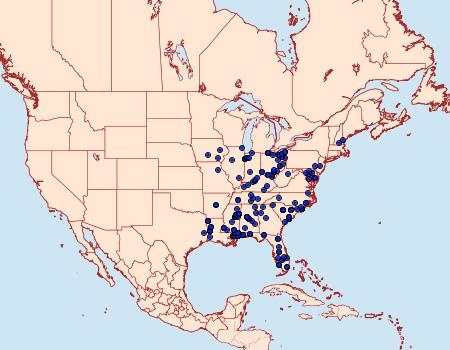 Distribution Data for Phytometra rhodarialis