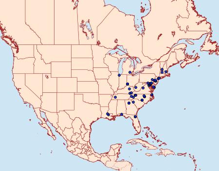 Distribution Data for Phyllocnistis liriodendronella