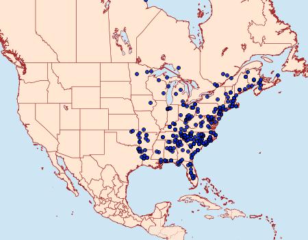 Distribution Data for Pangrapta decoralis