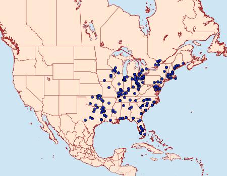 Distribution Data for Ledaea perditalis