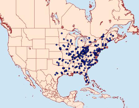 Distribution Data for Metalectra discalis