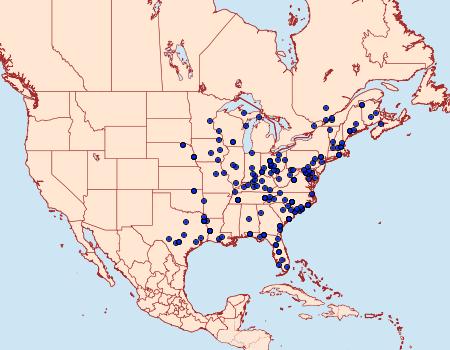 Distribution Data for Metalectra quadrisignata